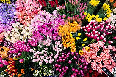 《全面战争：三国》6月21日加入PC Game Pass